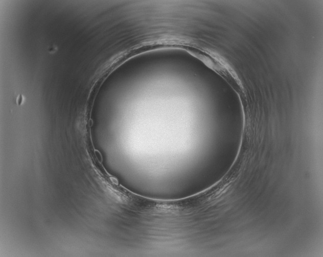 X0000071330437200607071636