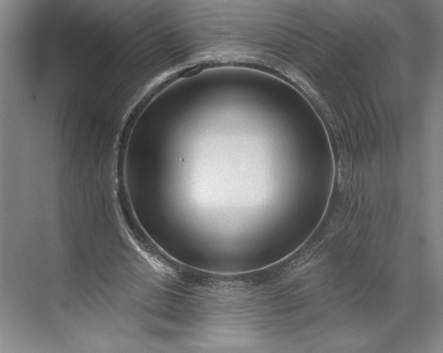 X0000071330438200607071636