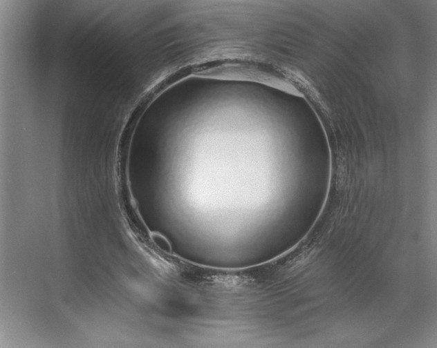 X0000071330439200607071636