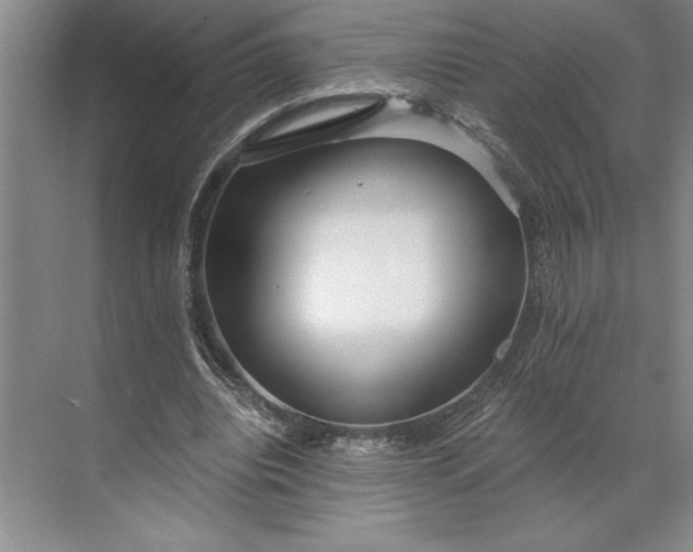 X0000071330440200607071636