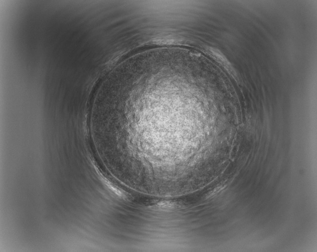 X0000071330441200607071636