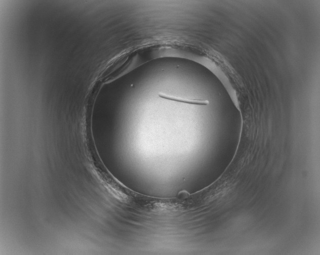 X0000071330442200607071636