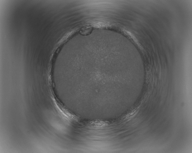 X0000071330443200607071636