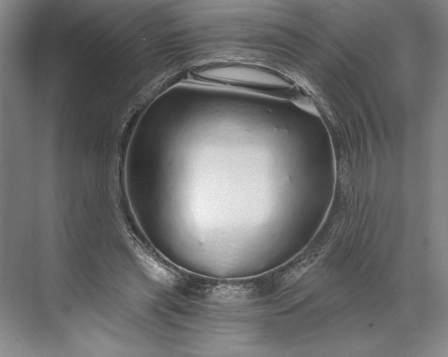 X0000071330445200607071636