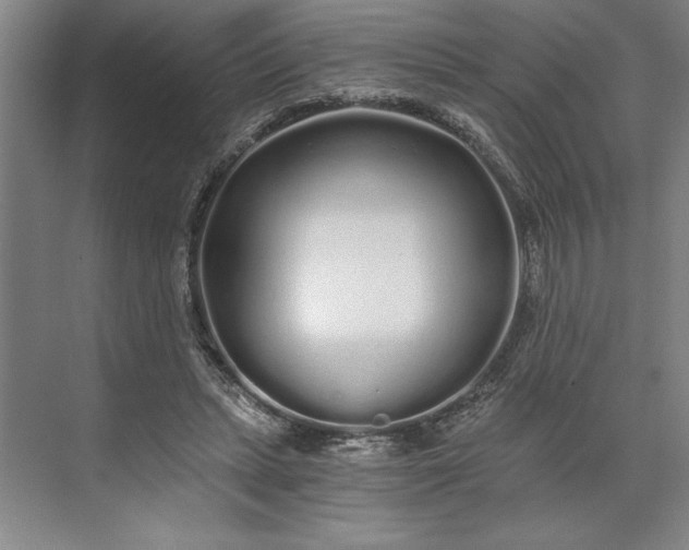 X0000071330447200607071636