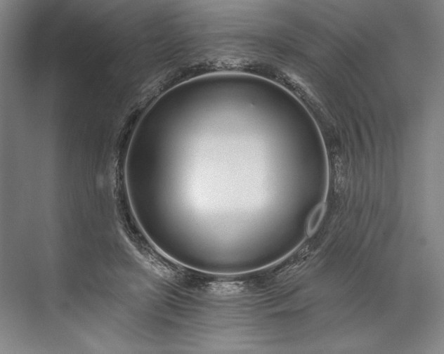 X0000071330451200607071636