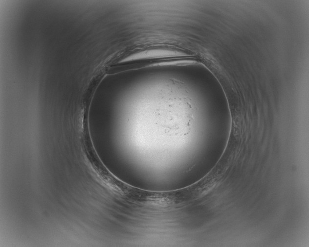 X0000071330454200607071636