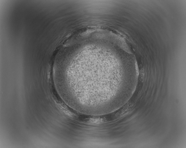 X0000071330458200607071637