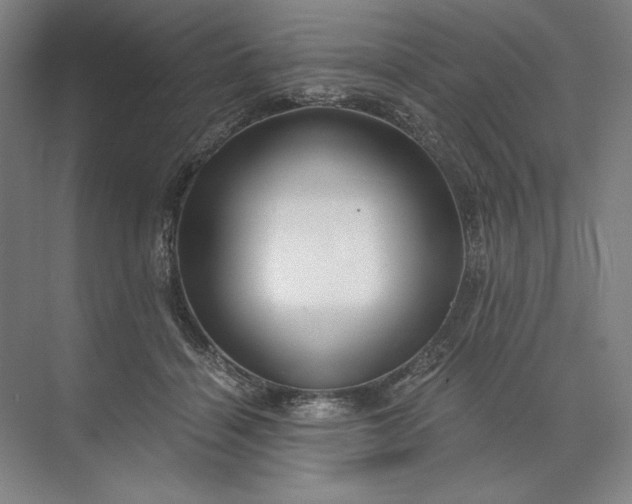 X0000071330460200607071637