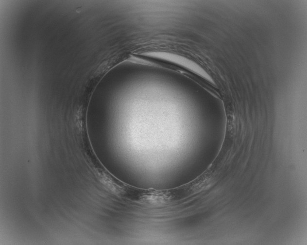 X0000071330466200607071637