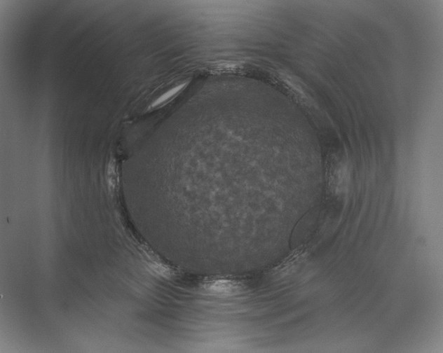 X0000071330467200607071637