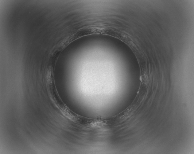 X0000071330468200607071637