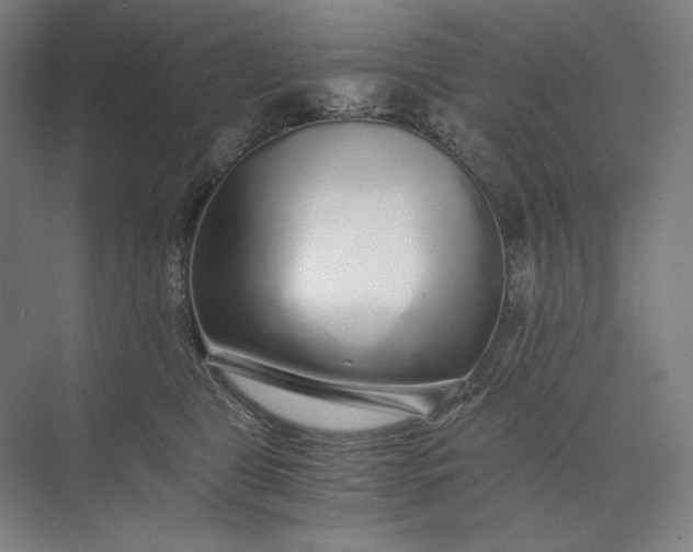 X0000071330469200607071637