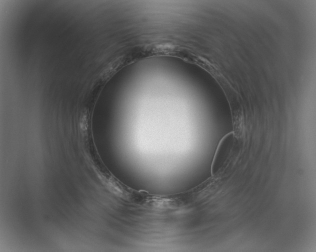 X0000071330472200607071637