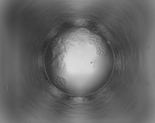 X0000071330473200607071637