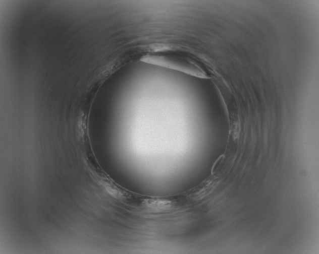 X0000071330476200607071637