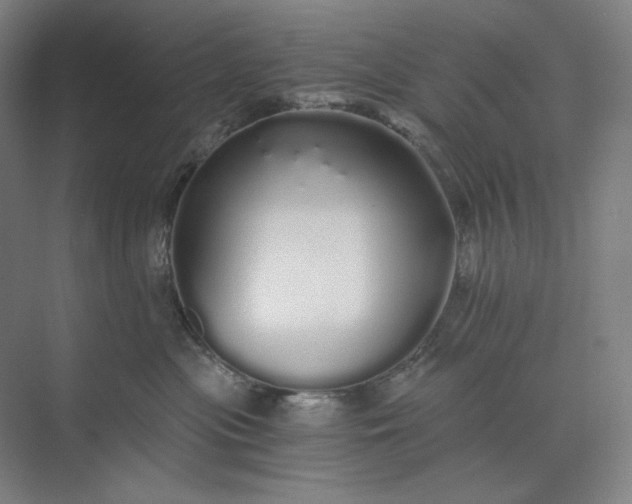 X0000071330477200607071637