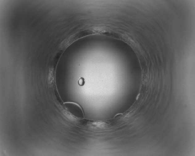 X0000071330478200607071637