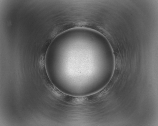 X0000071330479200607071637