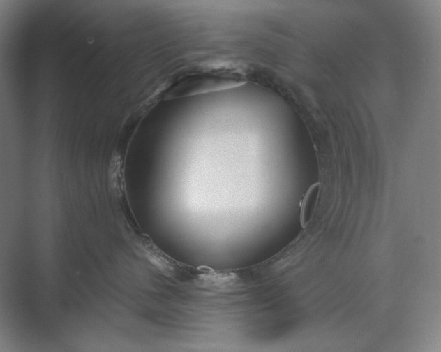 X0000071330480200607071637