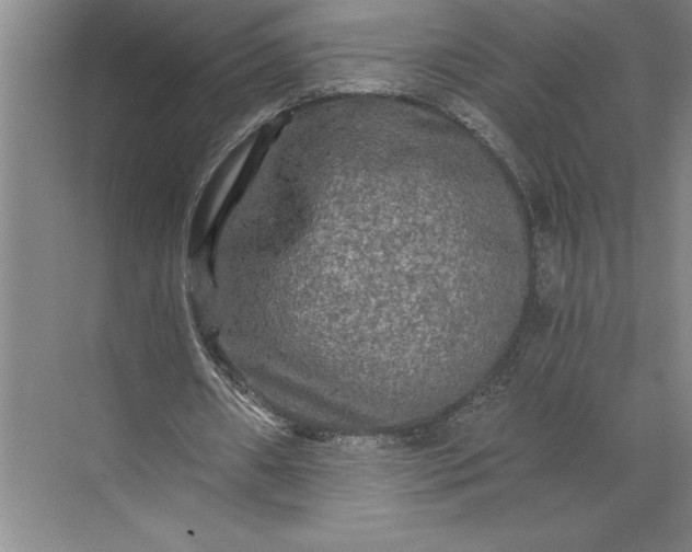 X0000071330482200607071636