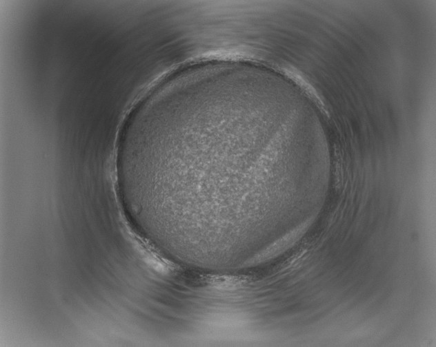 X0000071330486200607071636