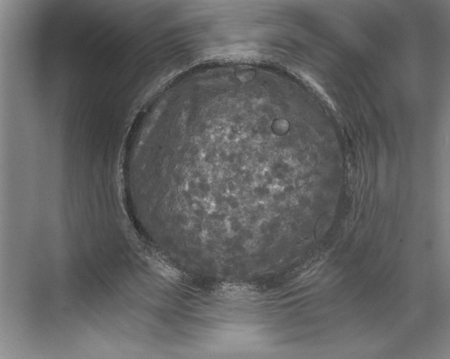 X0000071330487200607071636