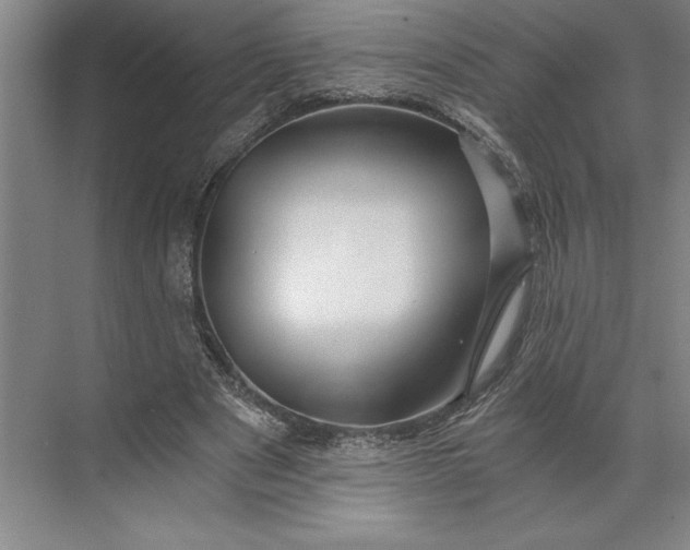 X0000071330489200607071636