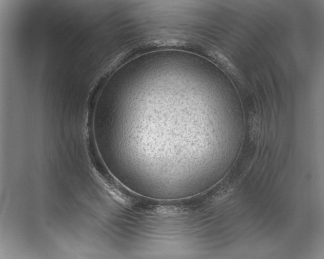 X0000071330490200607071636