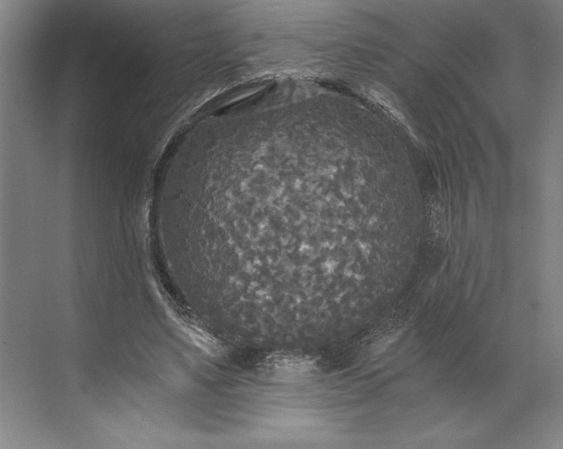 X0000071330491200607071636