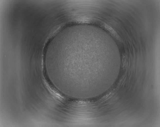 X0000071330494200607071636