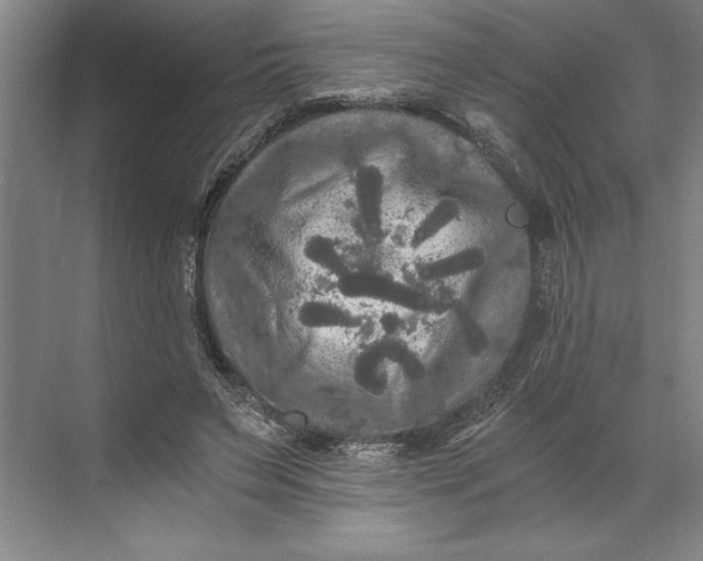 X0000071330495200607071636