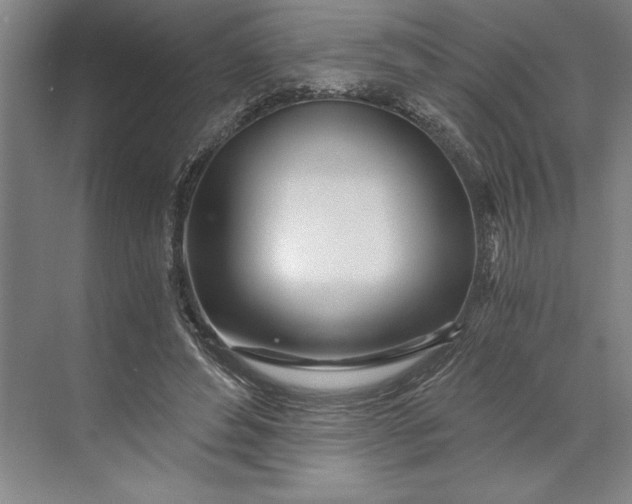 X0000071330496200607071636