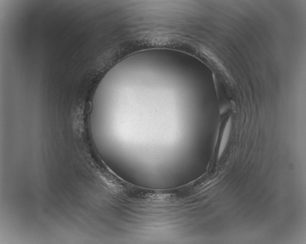 X0000071330497200607071636