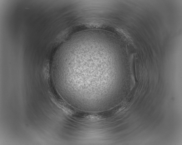 X0000071330498200607071636