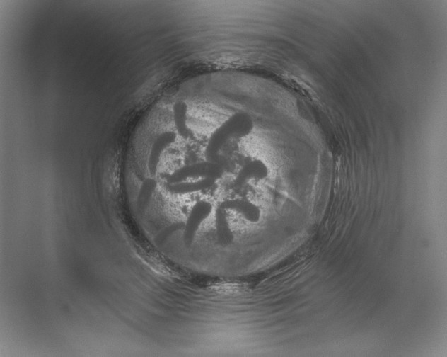 X0000071330499200607071636