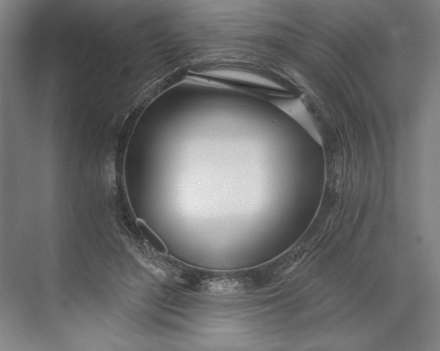 X0000071330500200607071636