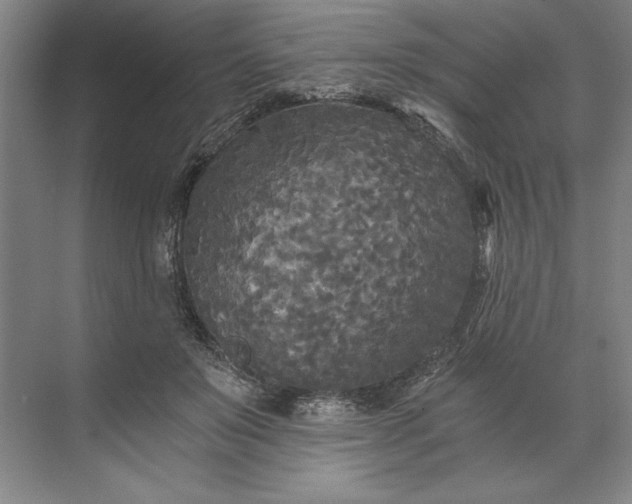 X0000071330503200607071636