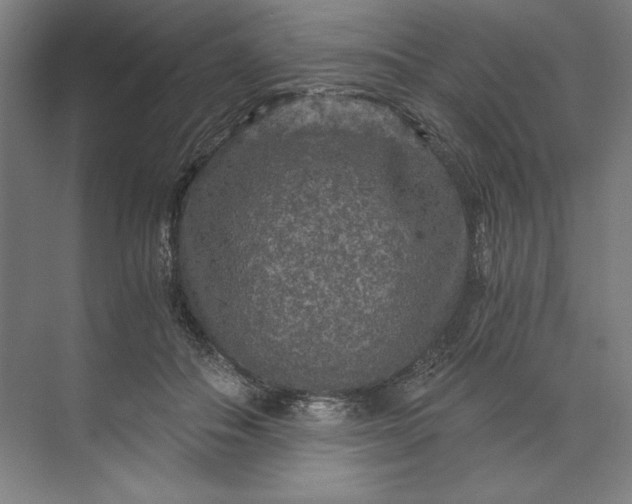 X0000071330506200607071636