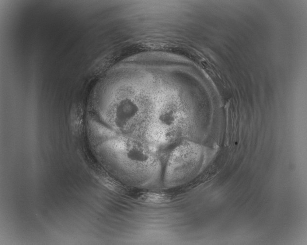 X0000071330507200607071636