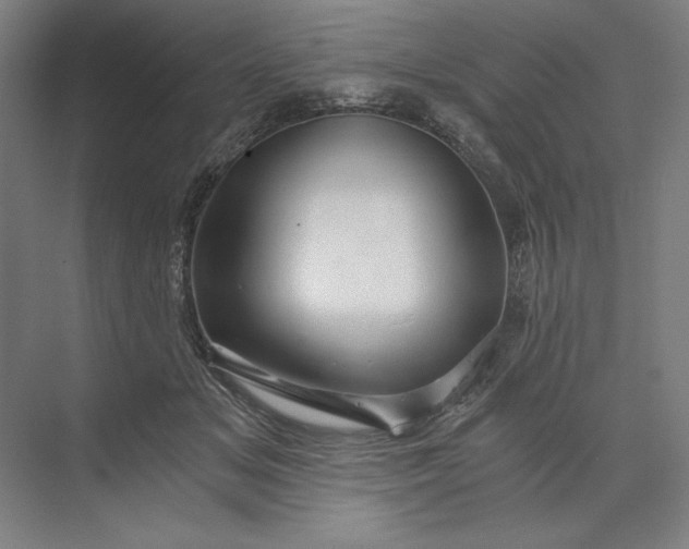 X0000071330509200607071636