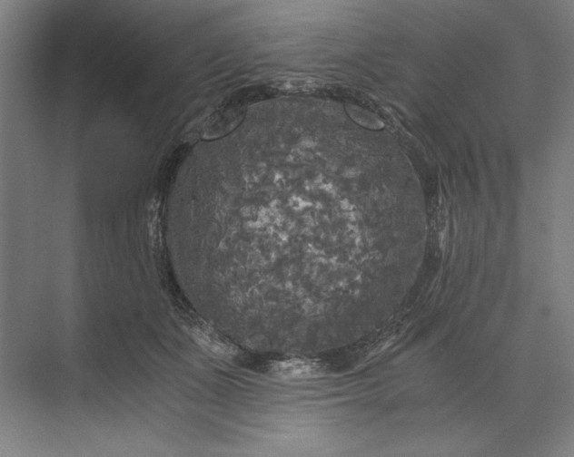 X0000071330511200607071636