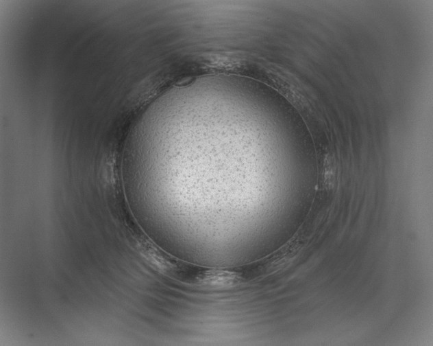 X0000071330514200607071636