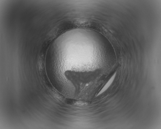 X0000071330515200607071636