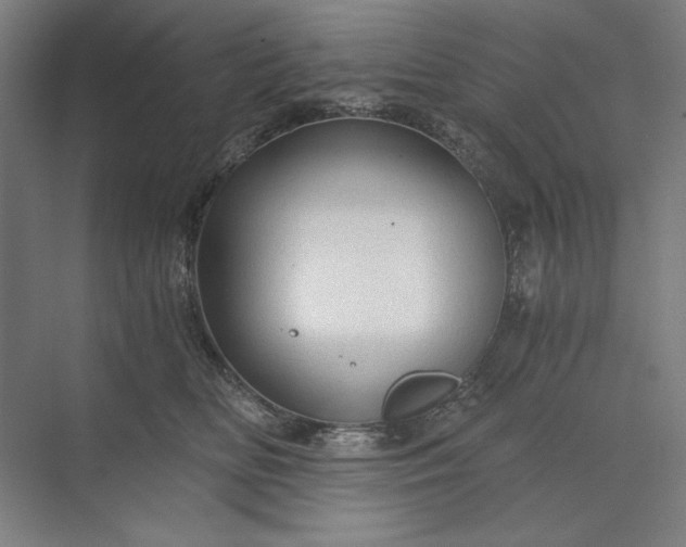 X0000071330518200607071636