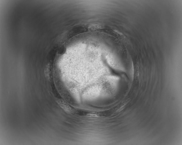 X0000071330519200607071635