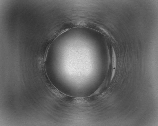 X0000071330521200607071635