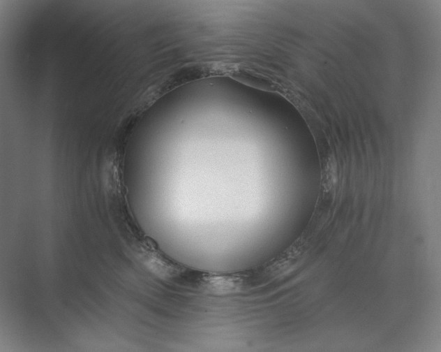 X0000071330522200607071635