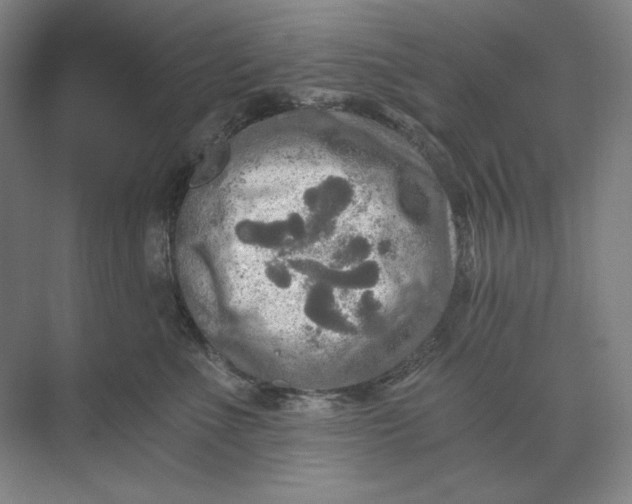 X0000071330523200607071635