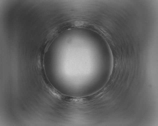 X0000071330524200607071635